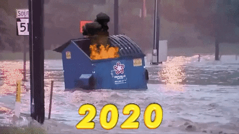 2020 dumpster fire